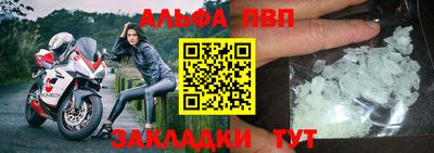 индика Сланцы