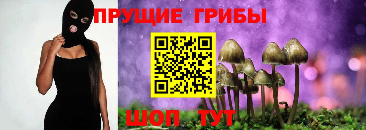 Галлюциногенные грибы Psilocybine cubensis Рязань